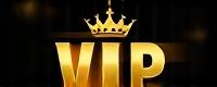 slot vip